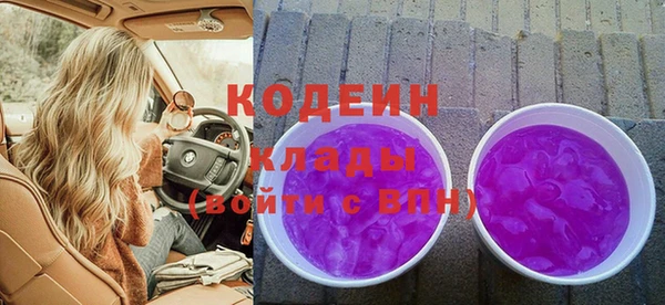 дмт Осташков