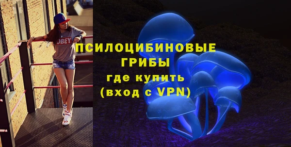 эйфоретик Алзамай