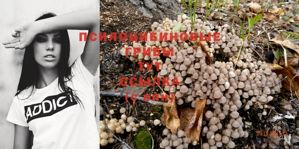 эйфоретик Алзамай