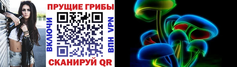 Псилоцибиновые грибы GOLDEN TEACHER  кракен рабочий сайт  Любим 